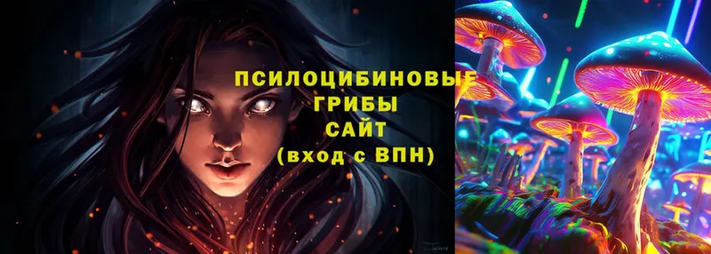 Псилоцибиновые грибы Magic Shrooms  Тырныауз 